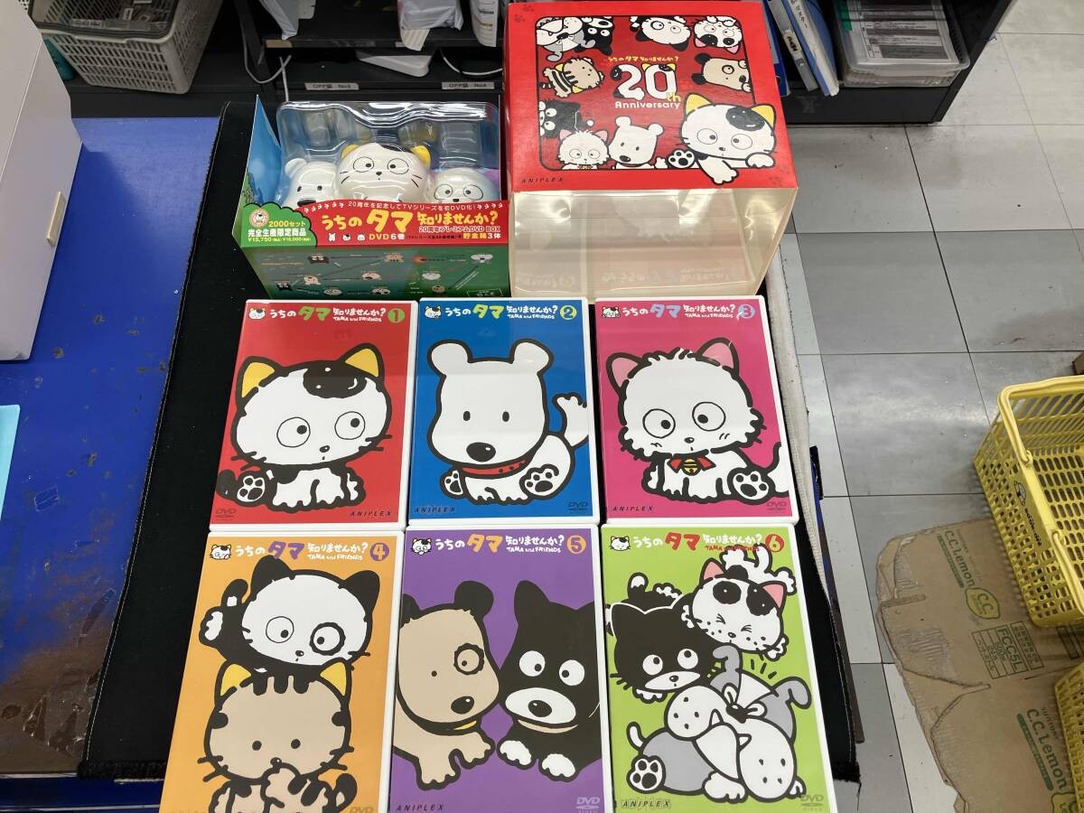 DVD Uchi no Tama Shiri Masen ka 20th Anniversary Premium DVD Box