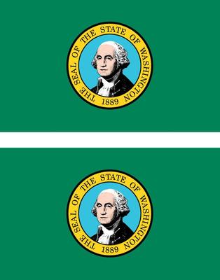 USA State Car Decals - 4x4 Inch Outdoor Vinyl Stickers For All 50 States (Washington Example) - View #9