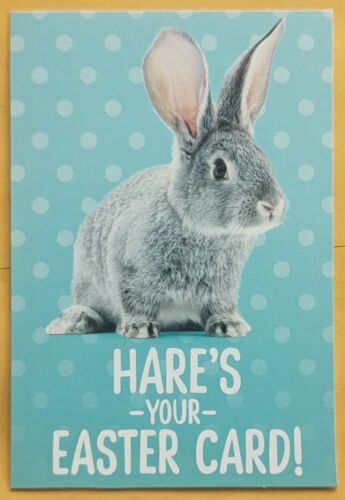 "Tarjeta de felicitación de Pascua feliz de "Hare's Your Easter Card" (+ sobre 4x6") - Imagen 1 de 4