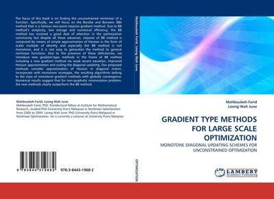 GRADIENT TYPE METHODS FOR LARGE SCALE OPTIMIZATION Mahboubeh Farid