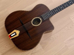 gypsy jazz guitar case