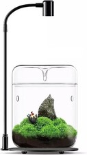 High Borosilicate Glass Terrarium with Unique Lid and Plant Lamp - Compact Decor