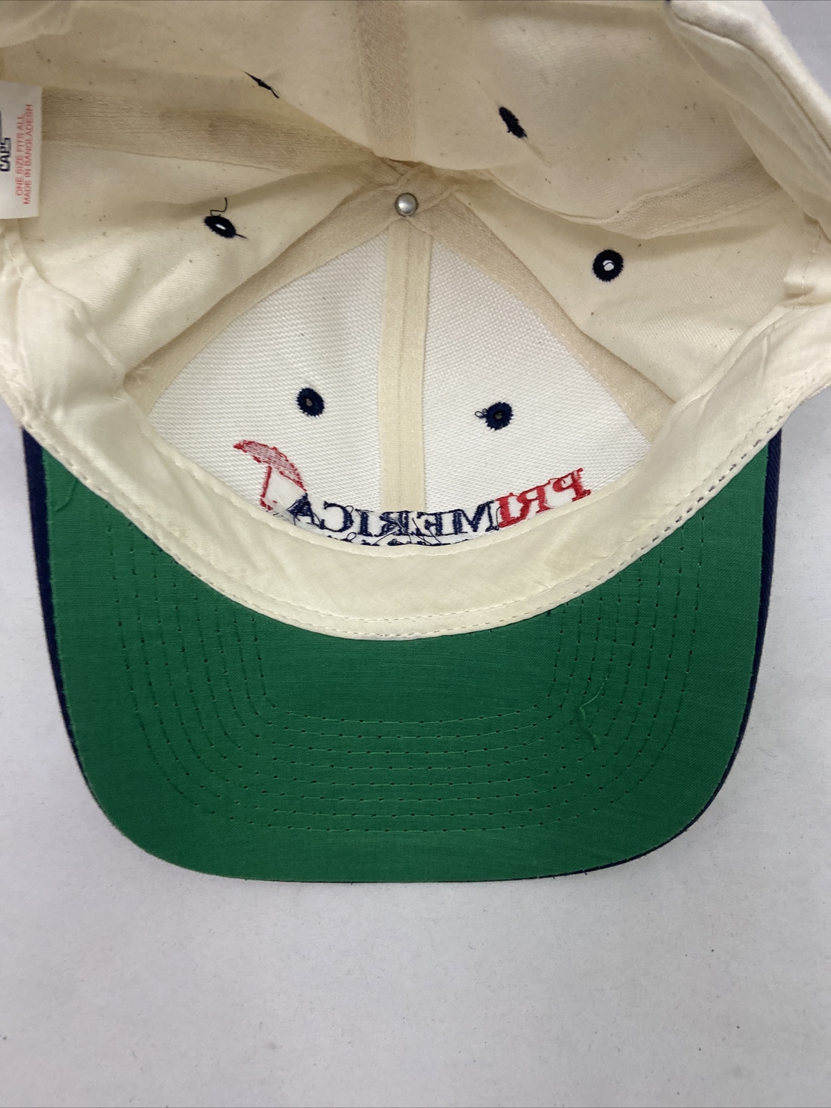 Vintage Primerica Financial Services Cap Hat Snapback Gem