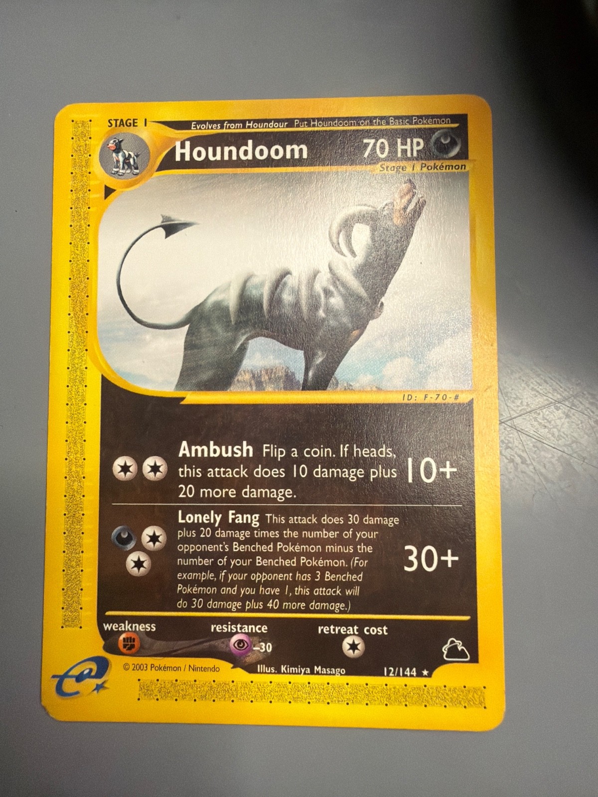 Houndoom 12/144 Skyridge Regular