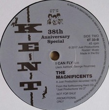 Lorraine Chandler Ease My Mind The Magnificents Can Fly  7" vinyl record 2017