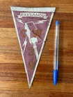 Uruguay Paysandu CW 39 pennant