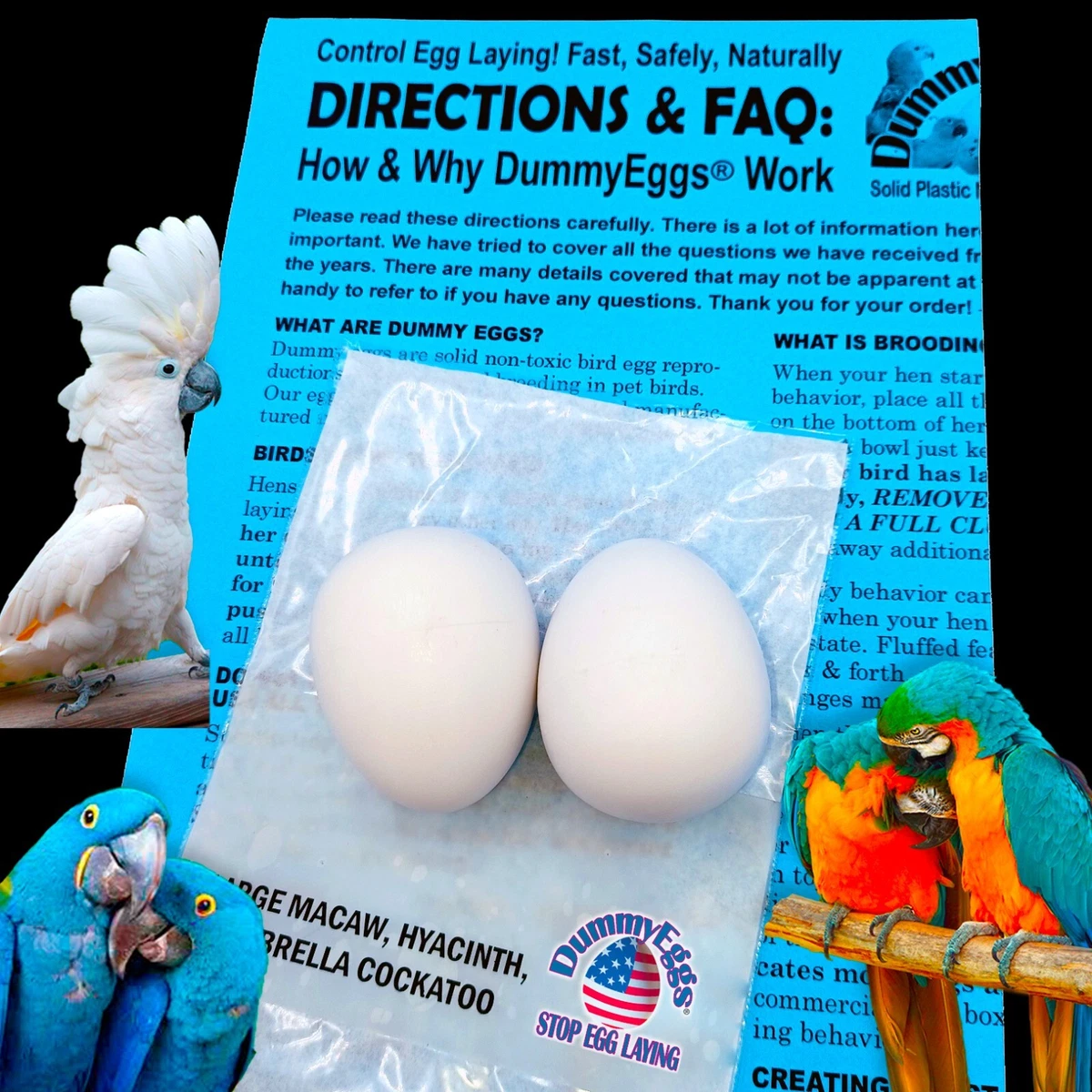 DummyEggs LARGE PARROT PLASTIC BIRD EGGS Control Laying Macaw Cockatoo Solid USA