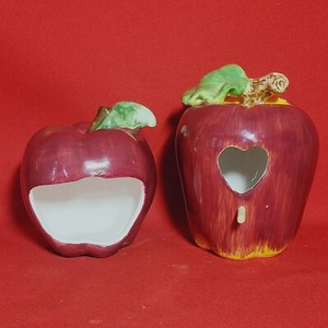 Apple Kitchen Sponge Scouring Scrubber Holder and Bird Feeder