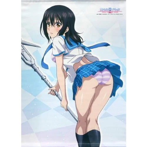 Strike the Blood Yukina Himeragi B2 Tapestry A