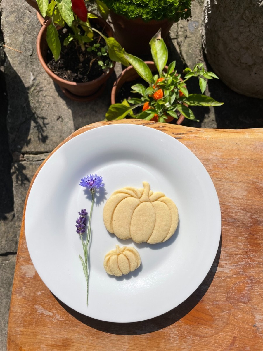 Pumpkin cookie/ biscuit cutter, decorating ideas, autumn, spice, cute,  halloween