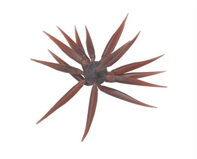 HIDEUP COIKE FISH M ELASTOMER 17mm Größe #108 Scuppernong