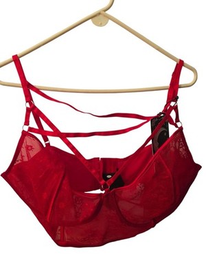 NWT Bra Longline Killstar Deadly Attraction Floral Sheer Lace Mesh Red Size 4XL