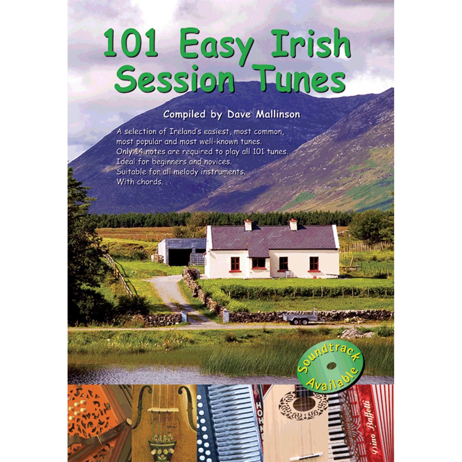 101 Easy Irish Session Tunes - Book Only  : Dave Mallinson