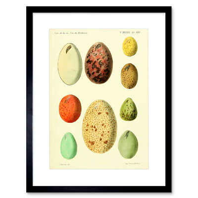 Französische Eier Vintage Illustration Kunstdruck Gerahmtes Poster Wanddeko