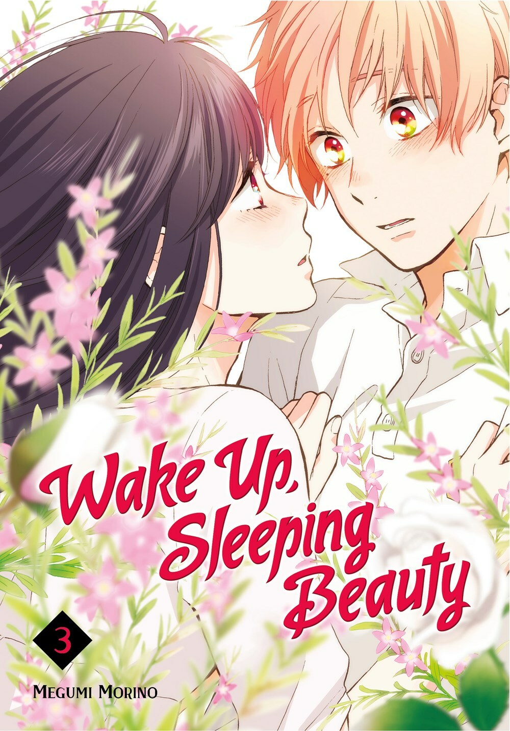 Wake Up Sleeping Beauty Vol 3 English Manga Graphic Novel New Edition-image