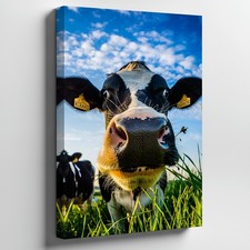 Close-up View Of A Black And White Dairy Cow In Wall Art Canvas Print Home Decor