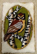 Vintage Owl Latch Hook Completed Rug Wall Hanging Owl Decor 26  x 38 