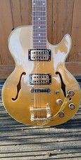 Alden Semi-Hollow Jazz Guitar | Pattersonic Handwound PAT ’59ers | Bigsby-Style
