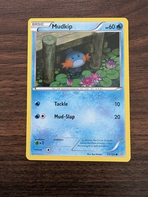 Mudkip 33/160 Primal Clash Regular Common Pokémon Card NM