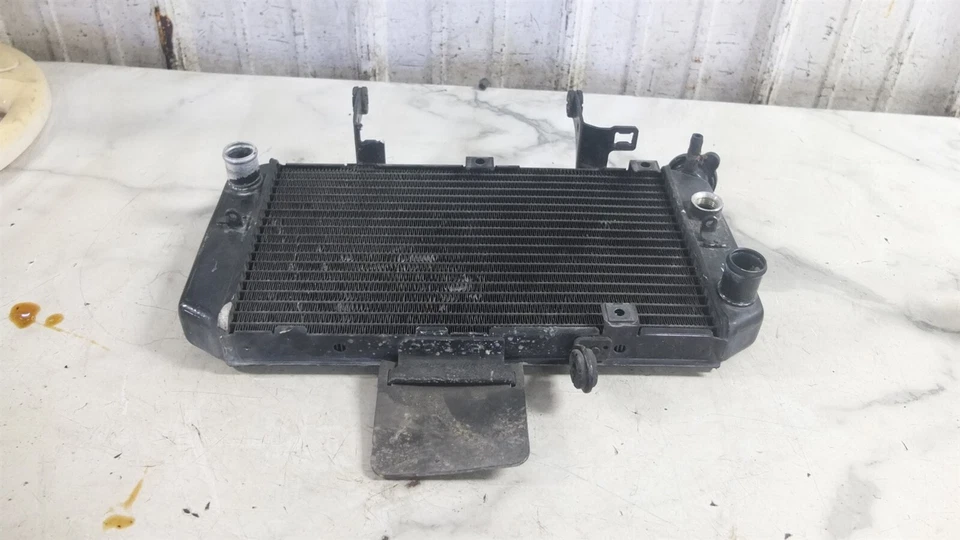 07 Radiador eléctrico Suzuki DL 650 DL650 VStrom V  Foto 4 de 4