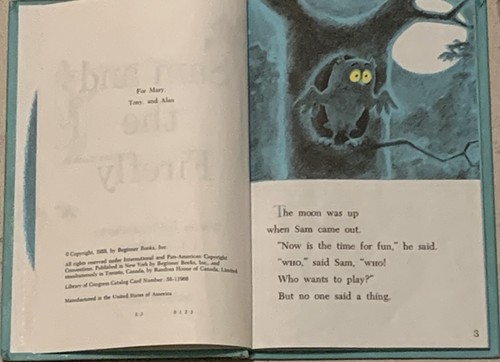 VINTAGE Sam and the Firefly Matte Hardcover 1958 Book Club First Edition GOOD - Picture 5 of 8