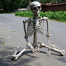 Halloween Skeleton Full Size Poseable Hanging Human Party Prop Haunted House UK