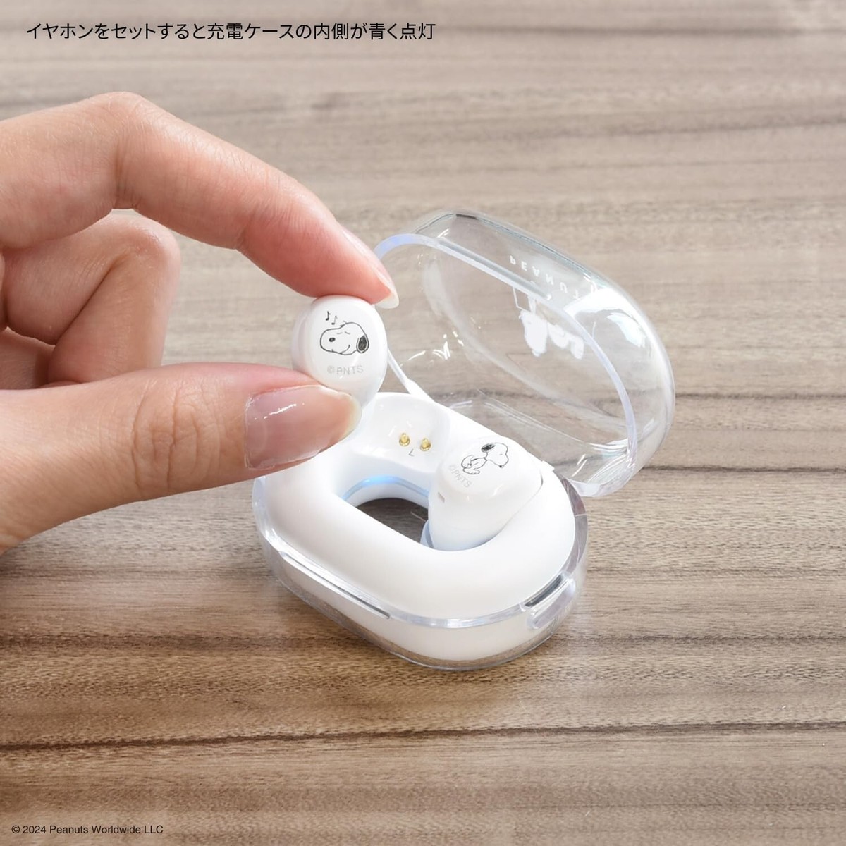 磁器製ピーナッツ交響楽団SNOOPY & HIS FRIENDS 18体 磁器製