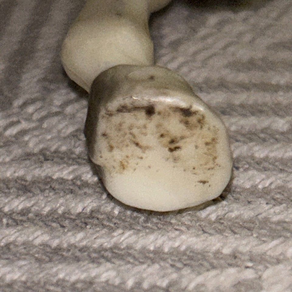 STUNNING Vintage Breyer Horse Alabaster Proud Arabian Stallion 211 eBay