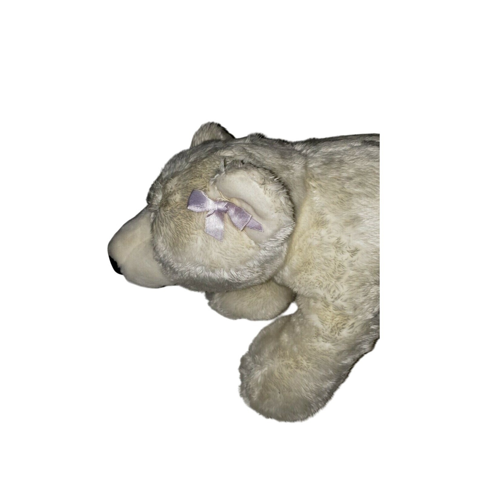 Picture 6 of 7