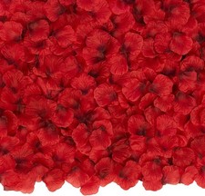 3000 PCS Dark Red Artificial Silk Rose Petals for Romantic 3000 PCS,