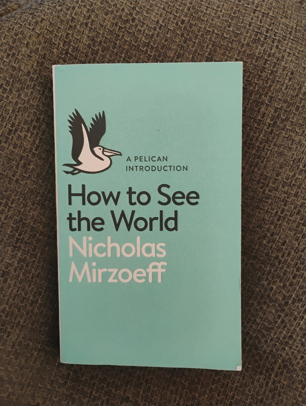 How to See the World: Nicholas Mirzoeff (Pelican Books) Paperback
