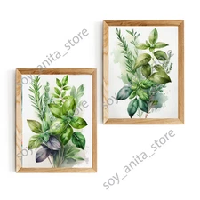 Kitchen Wall Art Botanical Herbs Decor Digital Download Painting IA Watercolor