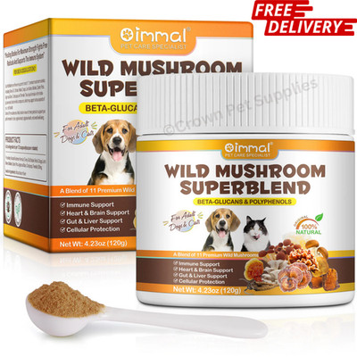 Immune Support Mushroom Powder for Dogs & Cats Heart & Brain Support   120 Grams