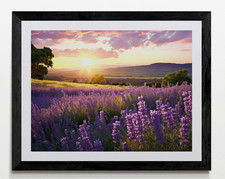 Sunset Flower Meadow Framed Canvas Picture Poster Print Wall Art