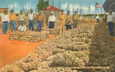 Tarpon Springs Vintage Linen Postcard Sponge Exchange Florida 