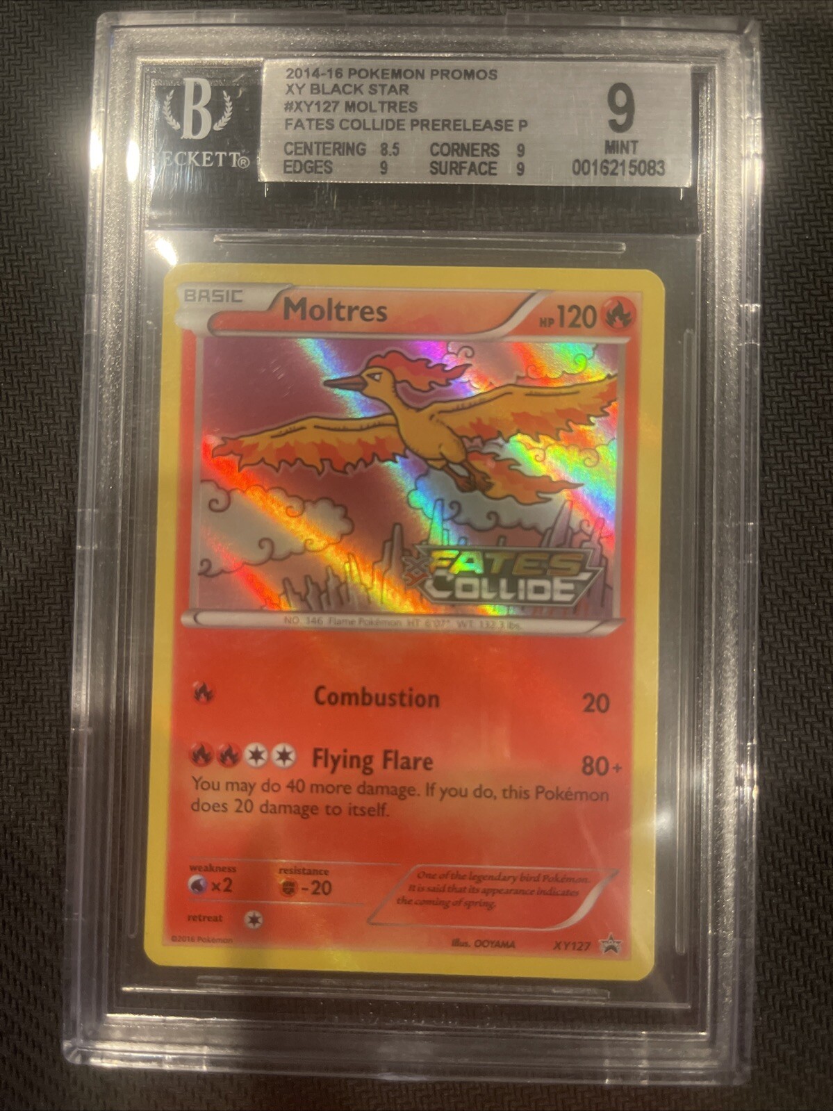 Pokemon Card - Moltres Holo (XY127) - XY Black Star Promo