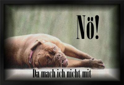 Fußmatte Schmutzfangmatte Nö da mach ich nicht mit Hund F547