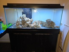 75 Gallons aquarium tank with lid, light, filter pumps for any type of livestoc