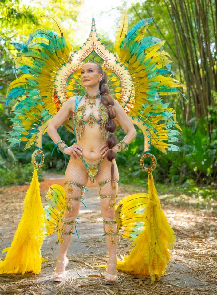 fantasia de carnaval, cosplay, samba, penas, fantasia caribenha - Imagem 3 de 4