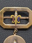 Antique Gold Filled Fleur-de-Lis Badge from the 1904 St. Louis World's Fair — photo 3