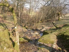 Photo 6x4 Nant Madog, stream Elan Village Nant Madog stream, trickling do c2009
