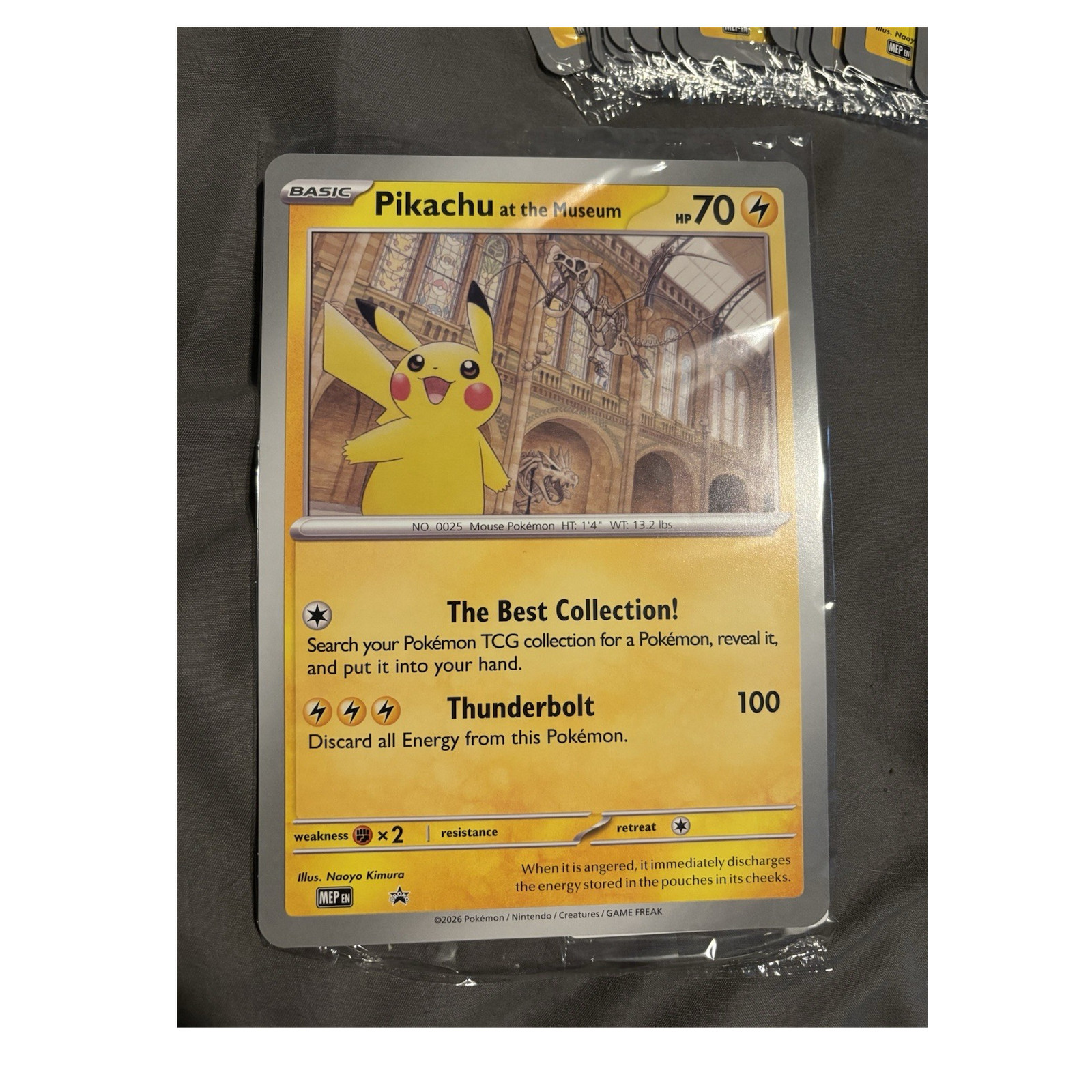 Pokémon Pikachu at the Museum Jumbo Cards x10
