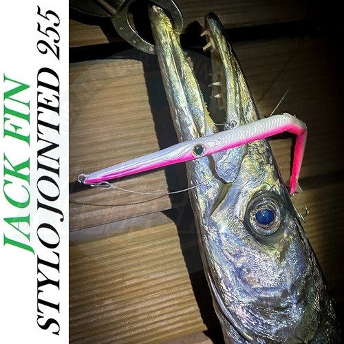 JACK FIN STYLO JOINT 255 Leurre dur coulant filature personnalisé Italie 255mm 33g NEUF - Photo 9/26