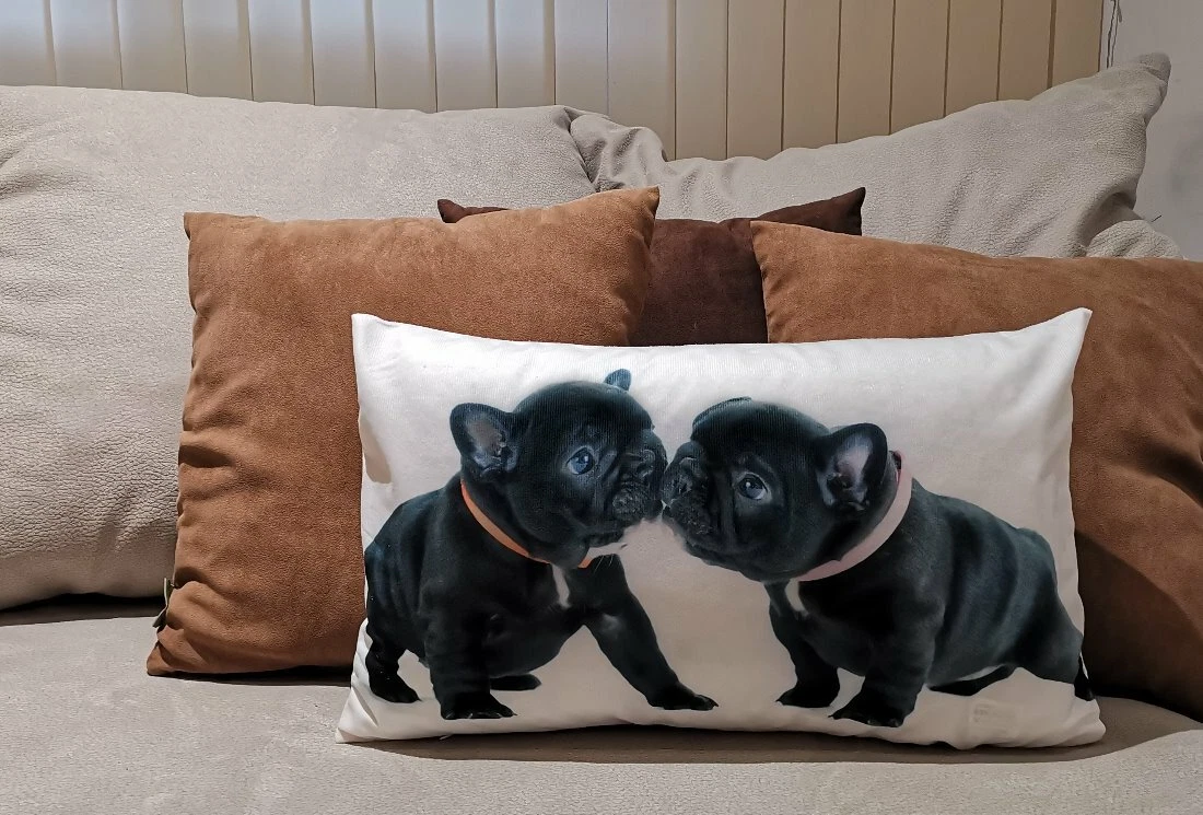French hotsell bulldog mops