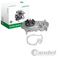 INA Wasserpumpe Passend FüR Dacia Logan Sandero Renault Clio Kangoo Logan
