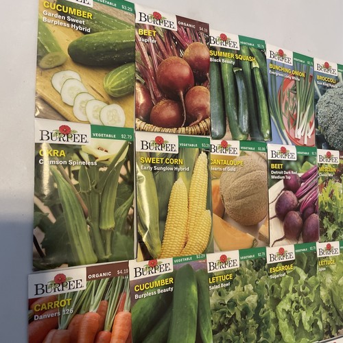 Burpee Garden Seeds Lot of 22 Packs - Vegetable & Herbs Dated 2021 - Picture 2 of 5