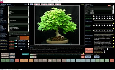 2020 Bonsai Collector Database Software on USB Drive | eBay