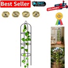 Classic Round Garden Arbor Arch - 240cm Steel Frame for Roses & Climbing Plants