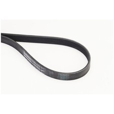 Continental Ctam Keilrippenriemen 028260849H 117204P100 11289888807 | 702922