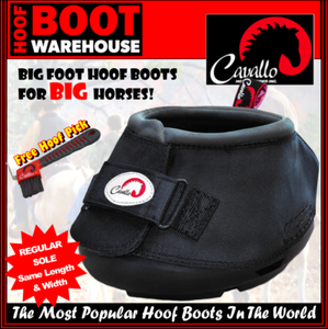 hoof boots ebay